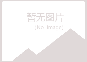 大新县书兰水泥有限公司